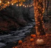 Colorful autumn scenery
